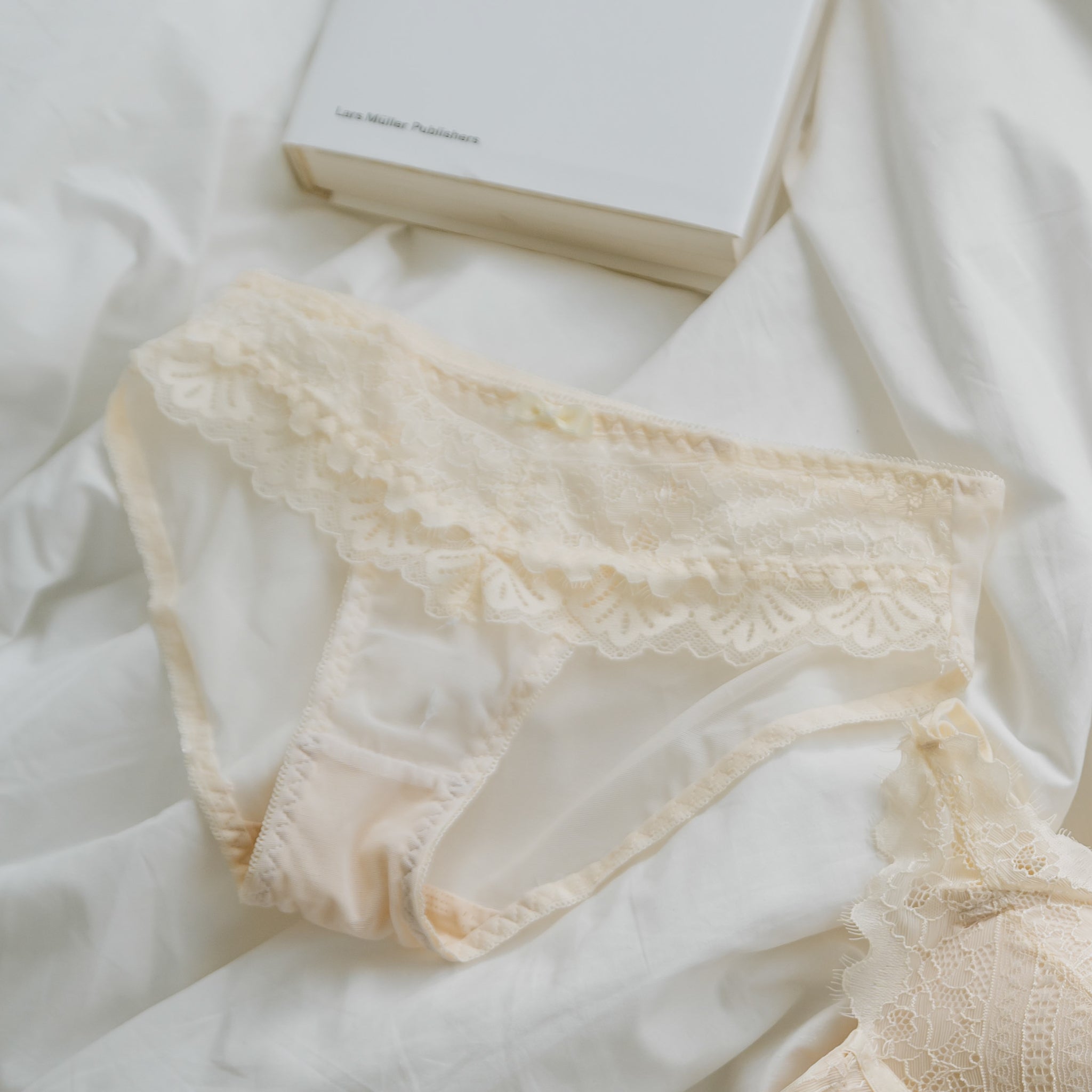 Lace Curves Cheeky in Pastel Nude